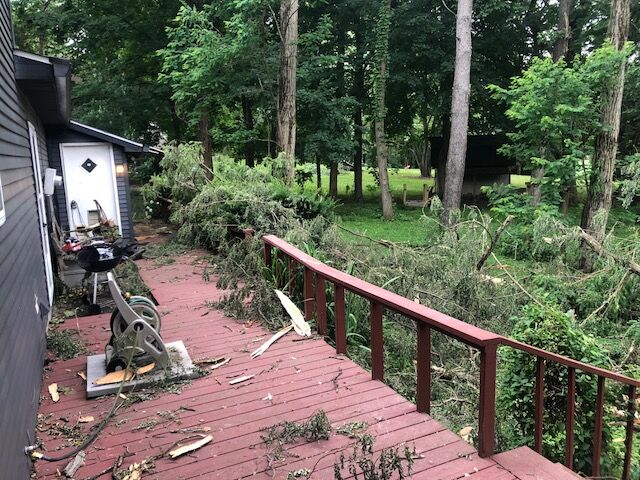 back yard damage